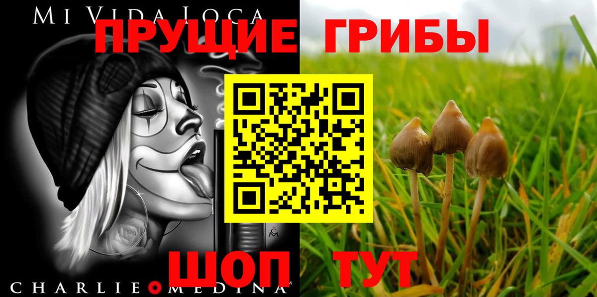 Галлюциногенные грибы Psilocybine cubensis Карталы