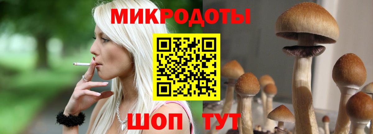 Карталы  Псилоцибиновые грибы GOLDEN TEACHER  купить  сайты  Вход с VPN 